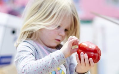 Obesity prevention in the early years – the HENRY approach