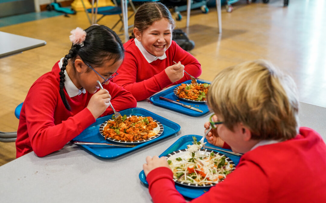 Government Announces Overhaul of School Food Standards: OHA Comment